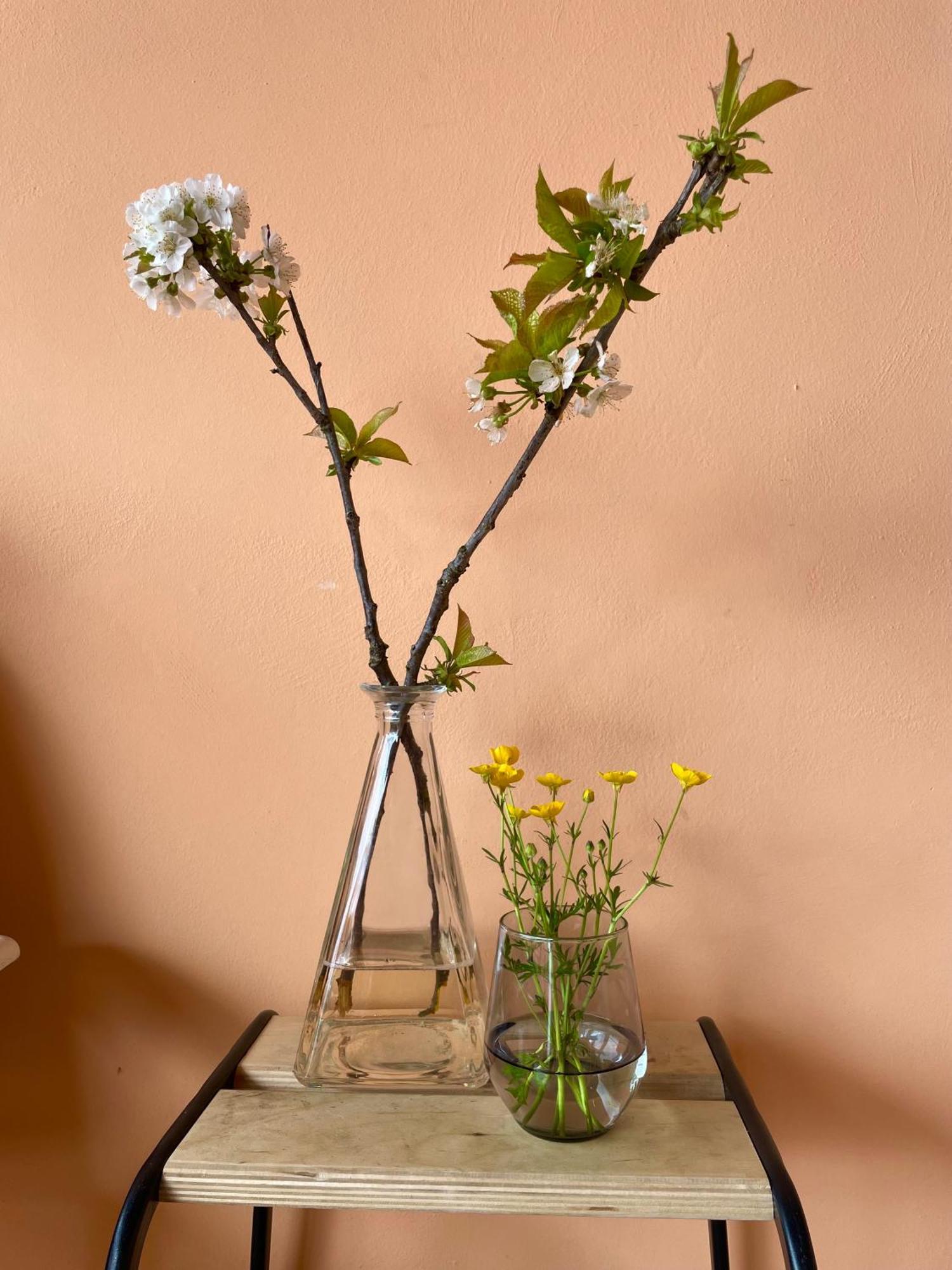 Studio Rosa Miagliano Eksteriør bilde